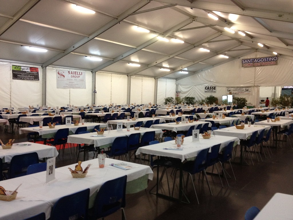 20m party tent