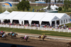 20m Span Aluminum Structure Waterproof Horse Tent for Outdoors Equestrian Competition Event