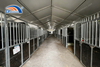 High-End Horse Barn Structure | Commercial Boarding Stable for Sale