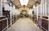 High-End Horse Barn Structure | Commercial Boarding Stable for Sale