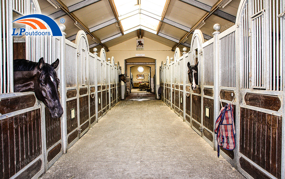 High-End Horse Barn Structure | Commercial Boarding Stable for Sale